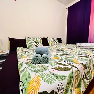  Apartment Ues